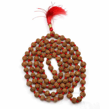 6 Mukhi Rudraksha Mala (108+1 Beads)