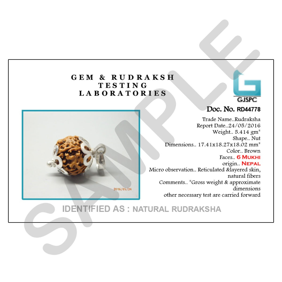 6 Mukhi Rudraksha Silver Pendant (Nepal)