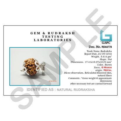 6 Mukhi Rudraksha Silver Pendant (Nepal)