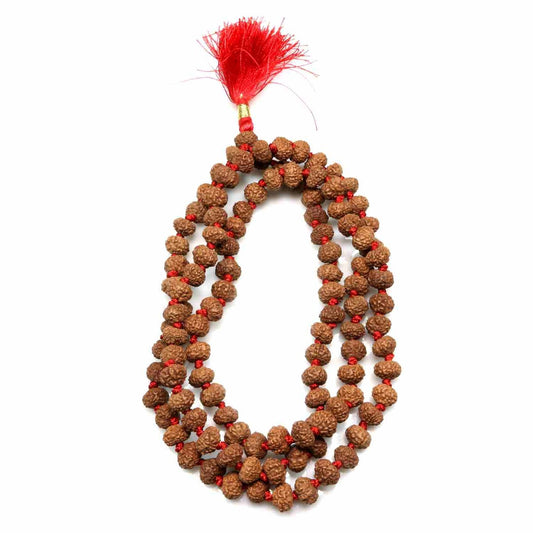 7 Mukhi Rudraksha Mala (Indonesia) (108+1 Beads) GJSPC Certified