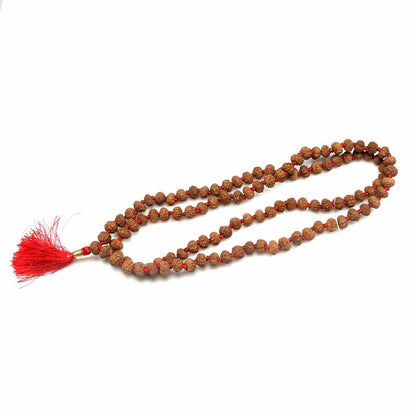 7 Mukhi Rudraksha Mala (Indonesia) (108+1 Beads) GJSPC Certified