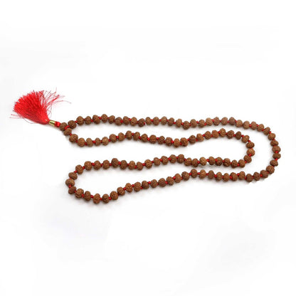 7 Mukhi Rudraksha Mala (Indonesia) (108+1 Beads) GJSPC Certified