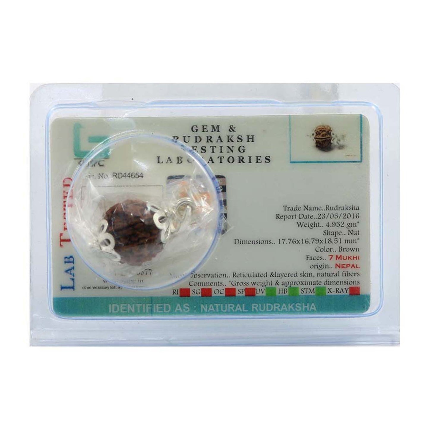 7 Mukhi Rudraksha Silver Pendant (Nepal)