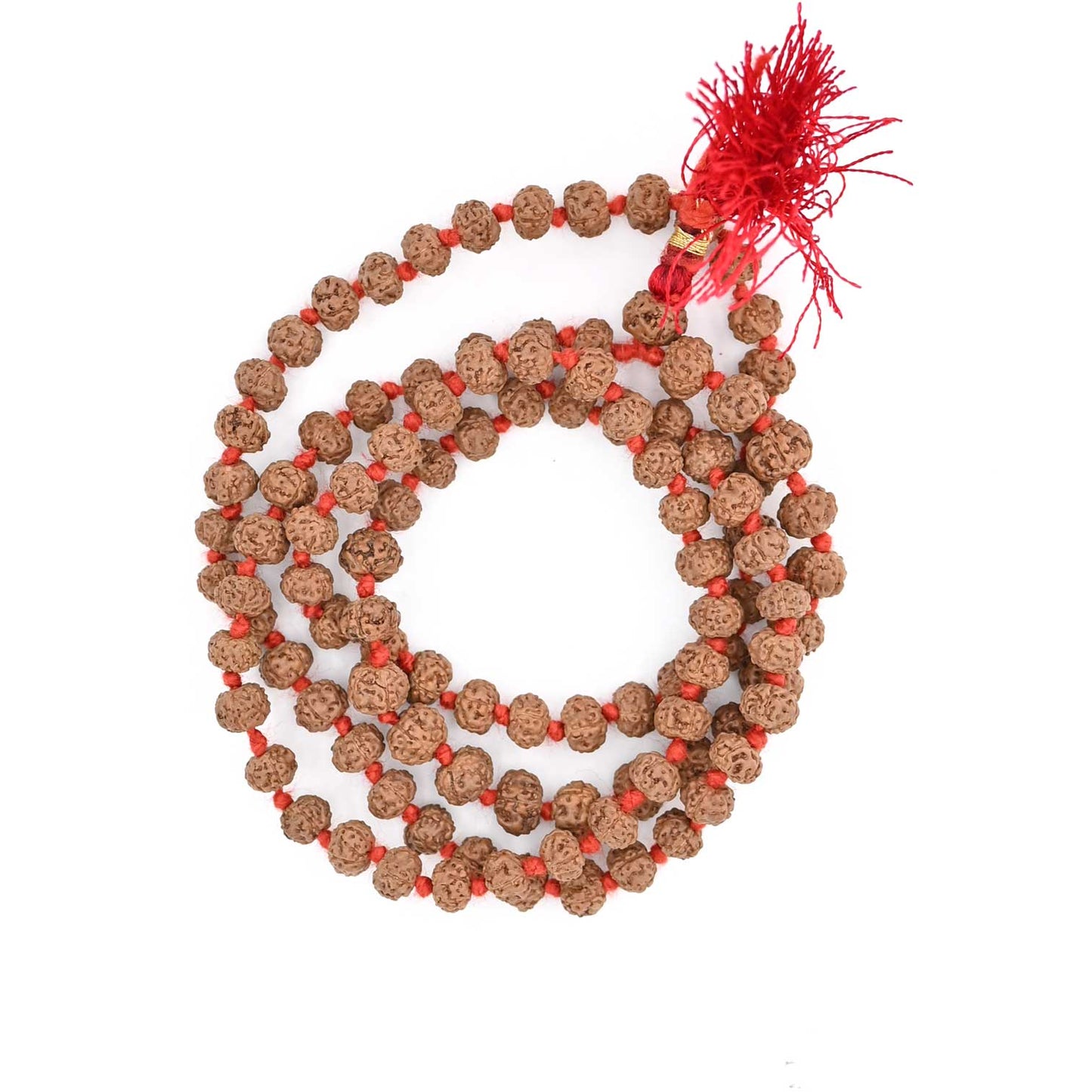 5 Mukhi Rudraksha Mala (Indonesia) (108+1 Beads) GJSPC Certified 5.50-6.00 M.M.