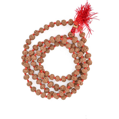 5 Mukhi Rudraksha Mala (Indonesia) (108+1 Beads) GJSPC Certified 5.50-6.00 M.M.