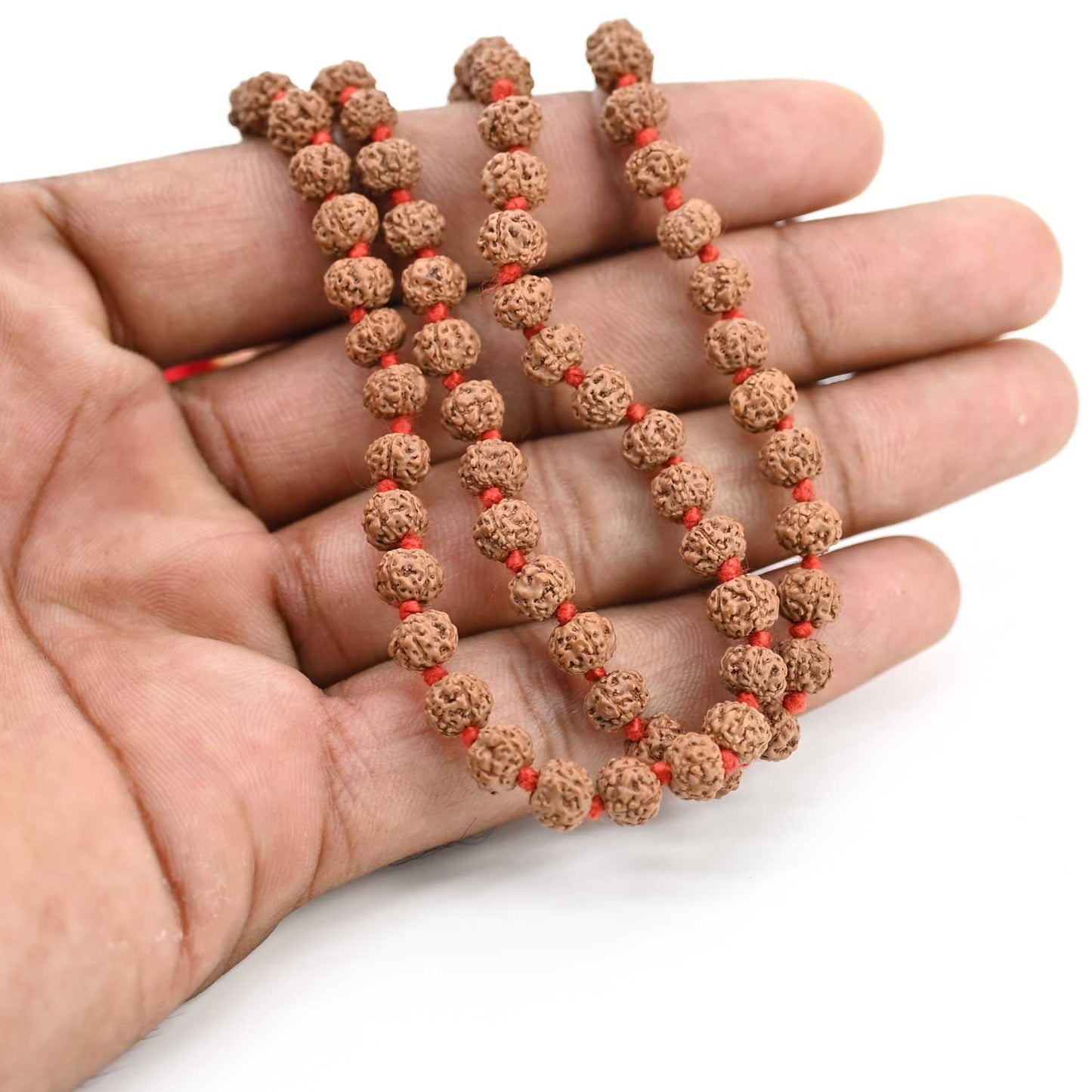 5 Mukhi Rudraksha Mala (Indonesia) (108+1 Beads) GJSPC Certified 6.00-6.50 M.M.
