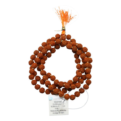 Original 5 Mukhi Rudraksha Jaap Mala (108+1 Beads) GJSPC Certified 6.50 - 7.00 M.M.