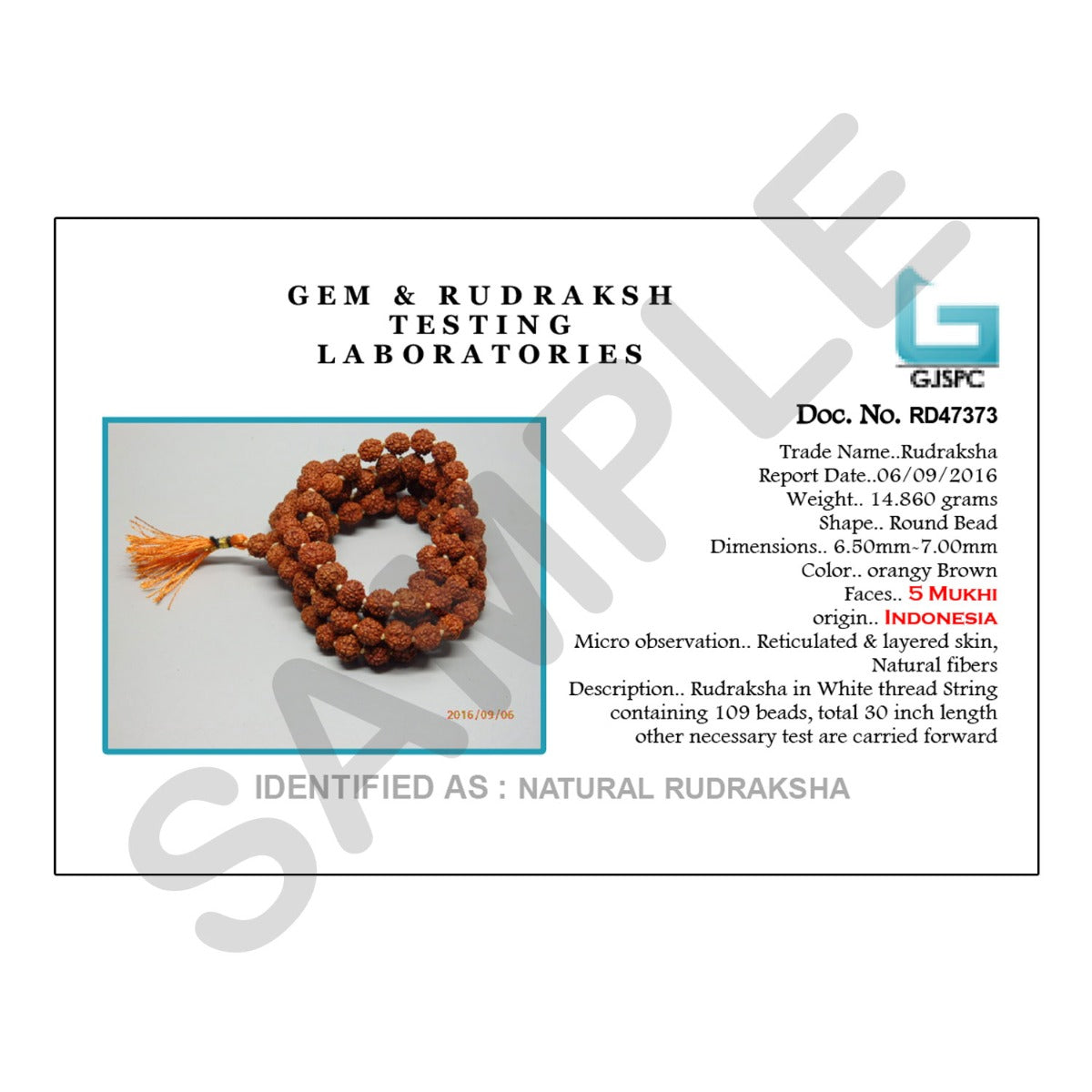 Original 5 Mukhi Rudraksha Jaap Mala (108+1 Beads) GJSPC Certified 6.50 - 7.00 M.M.