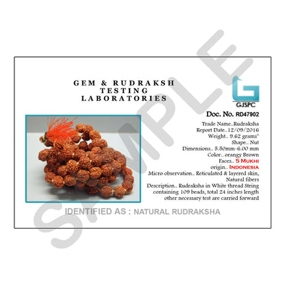 Original 5 Mukhi Rudraksha Jaap Mala (108+1 Beads) GJSPC Certified 5.50 - 6.00 M.M.