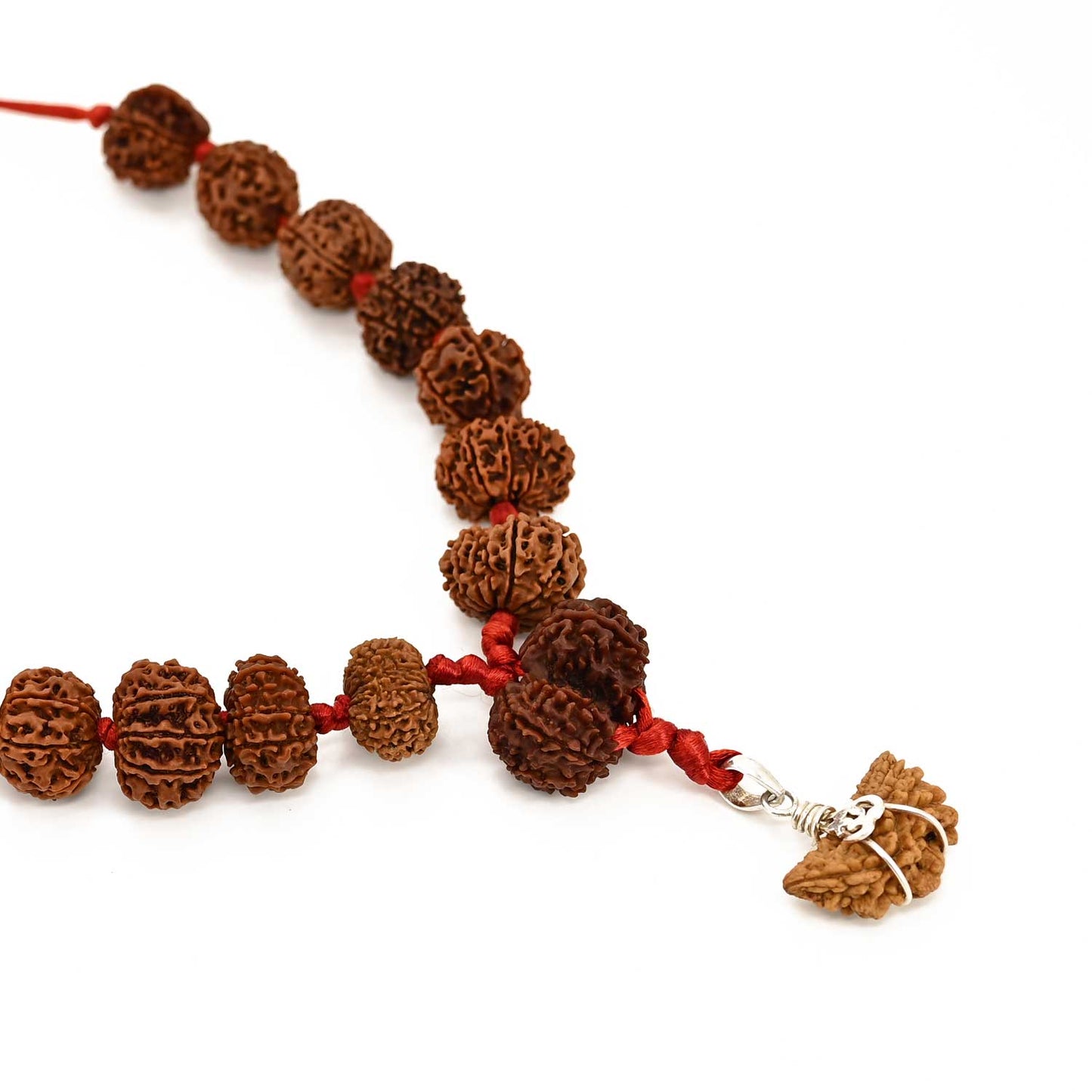 Rudraksha Siddha Mala 1 to 14 Mukhi With Gauri Shankar, Ganesh Rudraksha GJSPC Certified