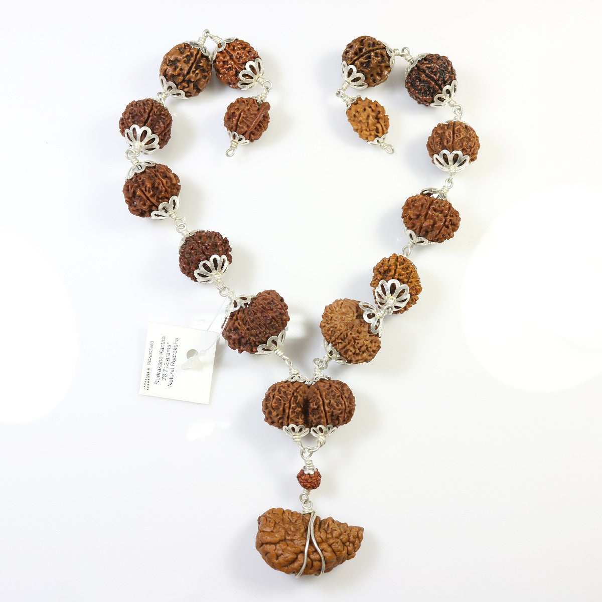 Rudraksha Silver Siddha Mala 1 to 14 Mukhi With Gauri Shankar, Ganesh Rudraksha GJSPC Certified