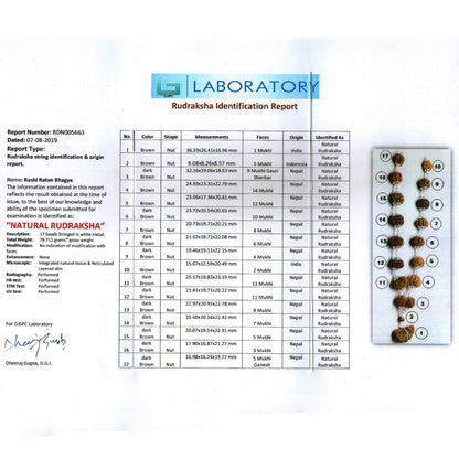 Rudraksha Silver Siddha Mala 1 to 14 Mukhi With Gauri Shankar, Ganesh Rudraksha GJSPC Certified