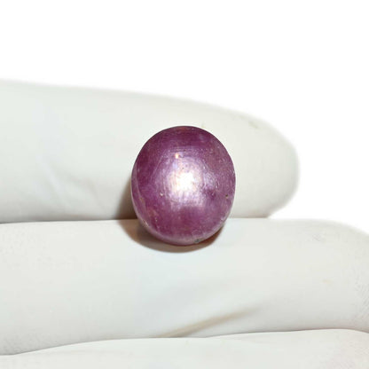 Star Ruby 14.05 Carat
