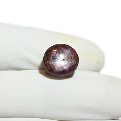 Star Ruby 10.5 Carat