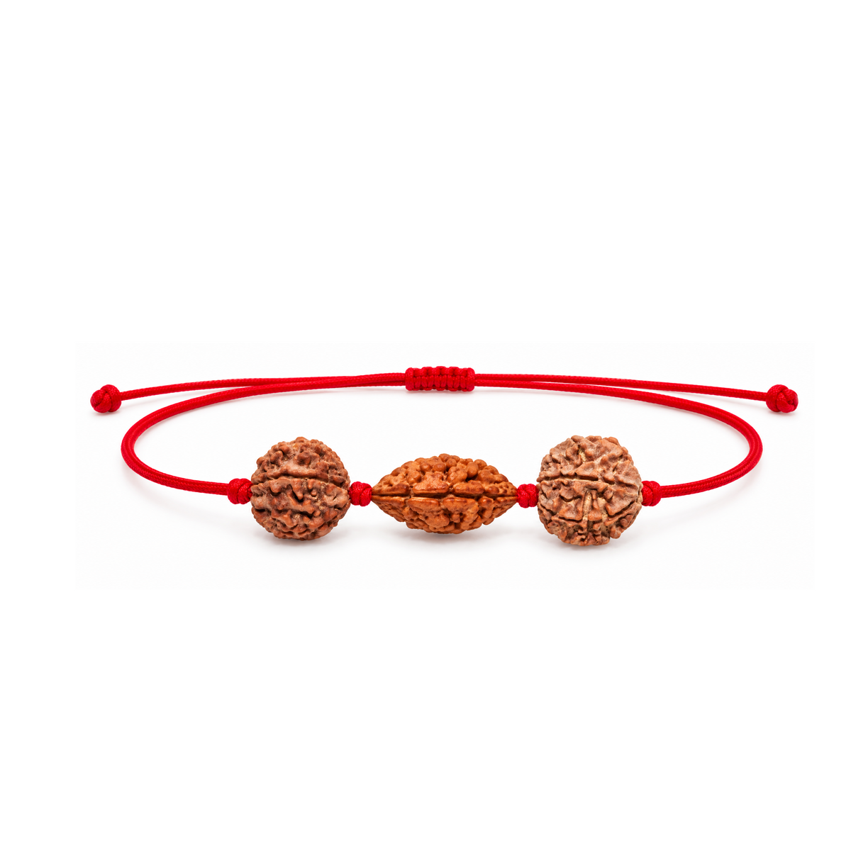 Grihastha Sukh Kavach - 2, 5 & 7 Mukhi Rudraksha