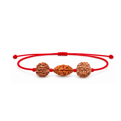 Grihastha Sukh Kavach - 2, 5 & 7 Mukhi Rudraksha