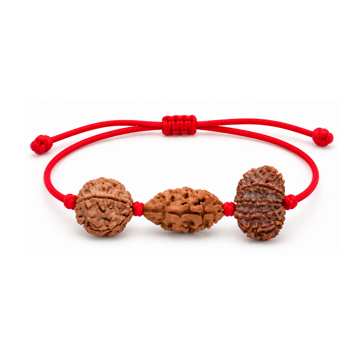 Chandra Shanti Kavach - 12, 2 & 5 Mukhi Rudraksha