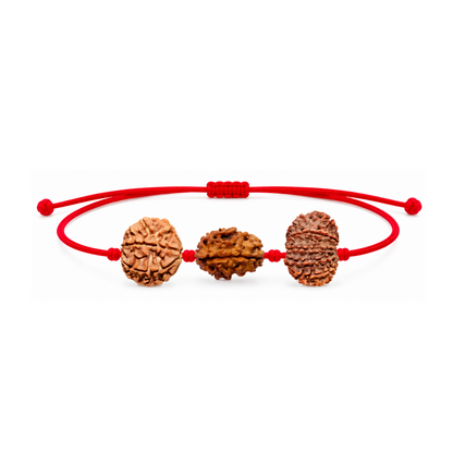Raj Tejas Kavach - 12, 3 & 7 Mukhi Rudraksha