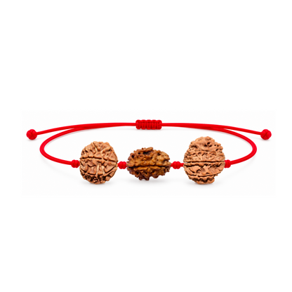 Karma Siddhi Kavach - 3, 7 & 8 Mukhi Rudraksha