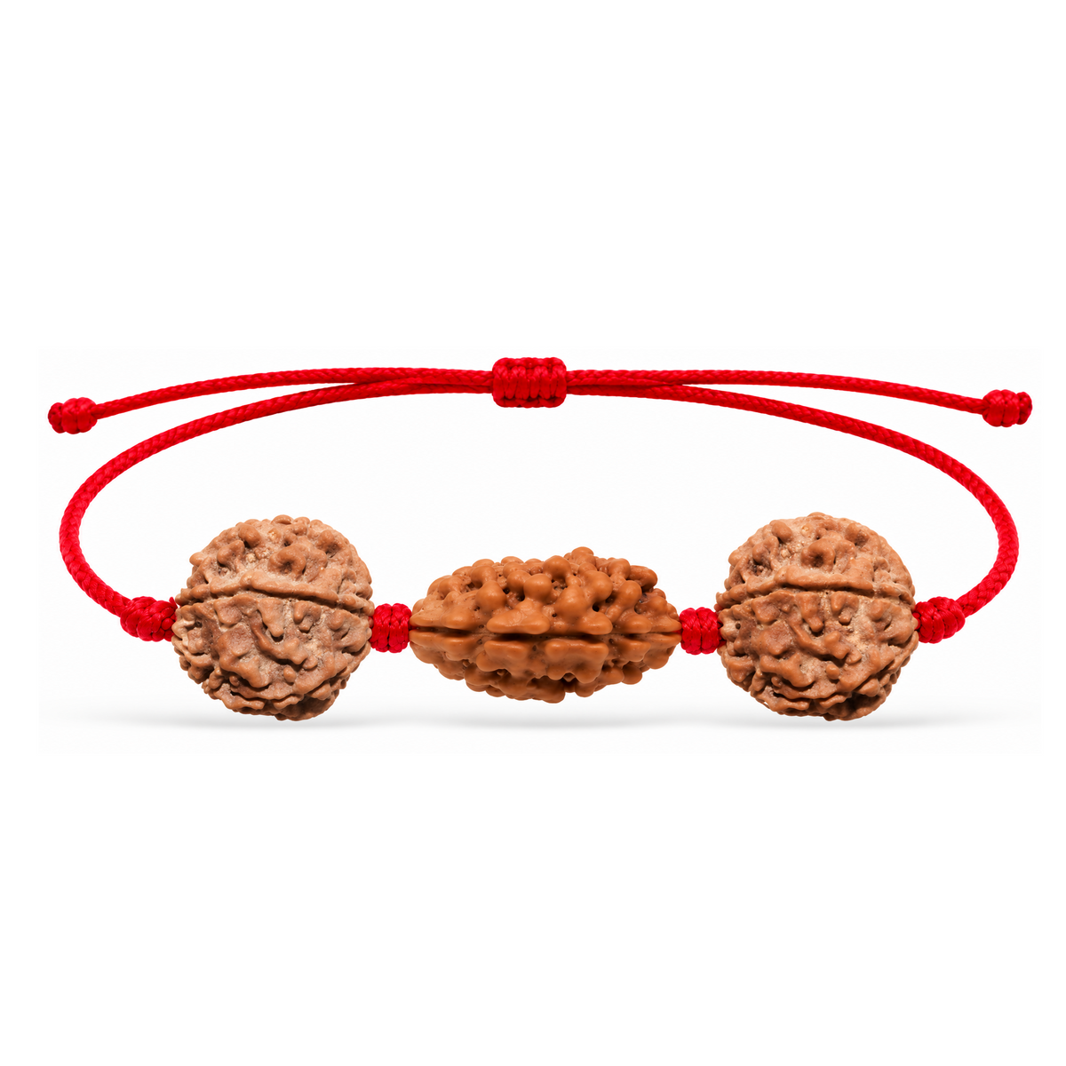 Saubhagya Kavach - 2, 5 & 6 Mukhi Rudraksha