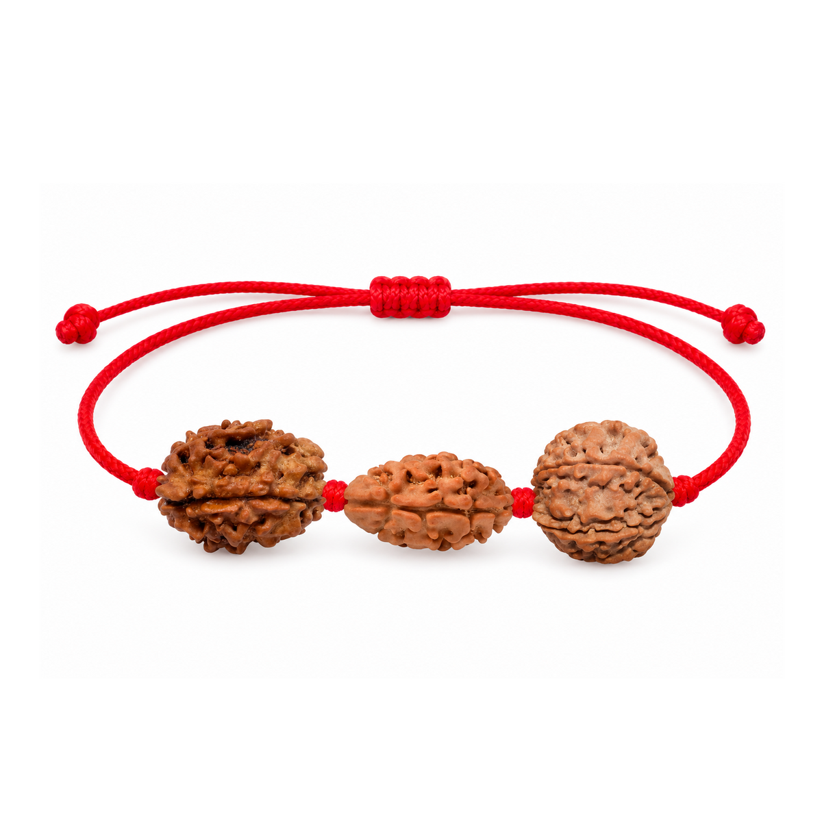 Prem Samriddhi Kavach - 2, 3 & 6 Mukhi Rudraksha
