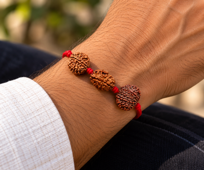 Raj Tejas Kavach - 12, 3 & 7 Mukhi Rudraksha