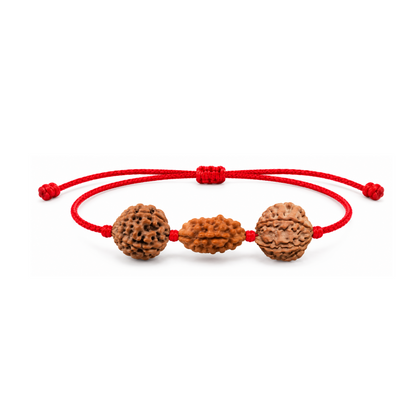 Saraswati Kavach - 2, 4 & 6 Mukhi Rudraksha