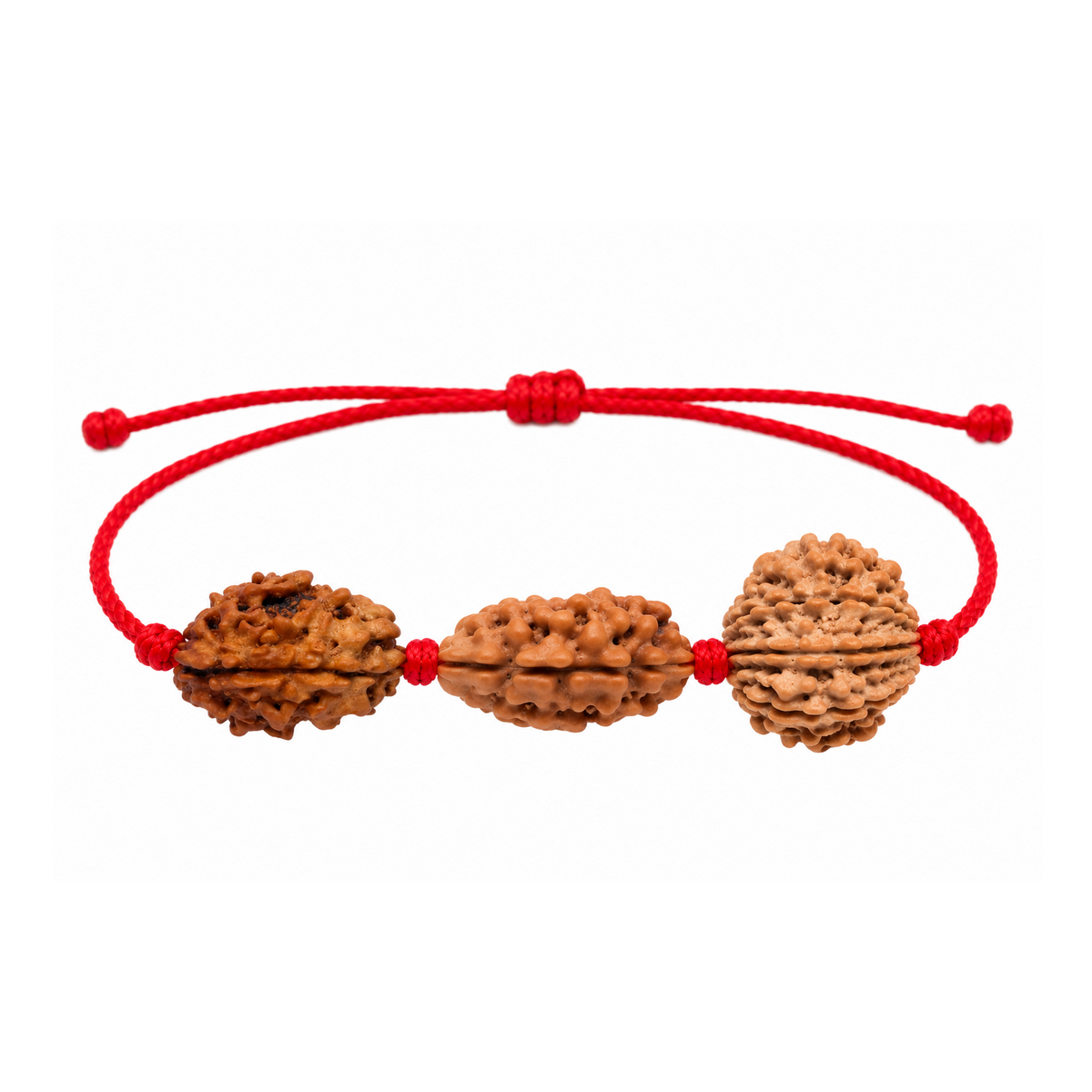 Manobal Kavach - 2, 3 & 8 Mukhi Rudraksha