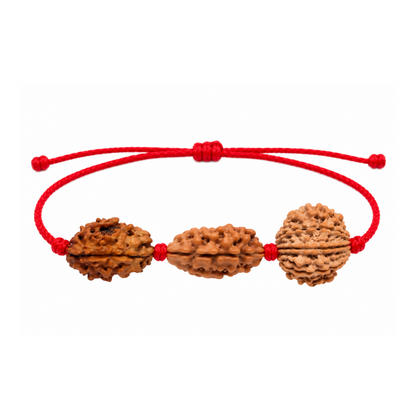 Manobal Kavach - 2, 3 & 8 Mukhi Rudraksha