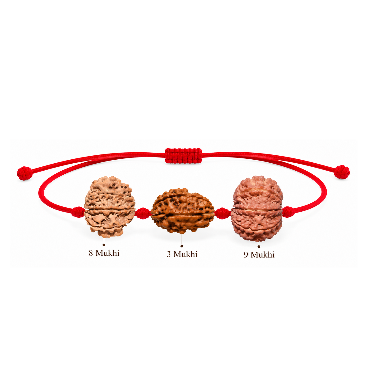 Bhairav Shakti Kavach - 3, 8 & 9 Mukhi Rudraksha
