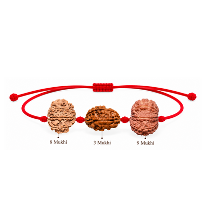 Bhairav Shakti Kavach - 3, 8 & 9 Mukhi Rudraksha