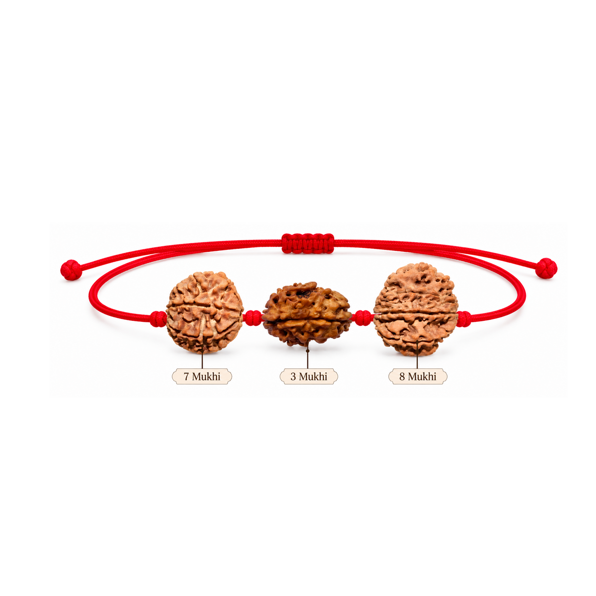 Karma Siddhi Kavach - 3, 7 & 8 Mukhi Rudraksha