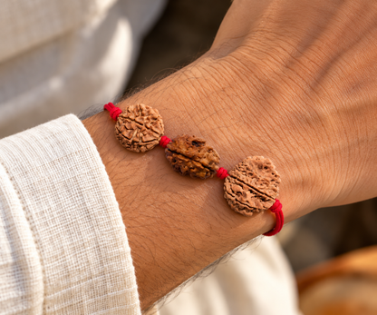 Karma Siddhi Kavach - 3, 7 & 8 Mukhi Rudraksha