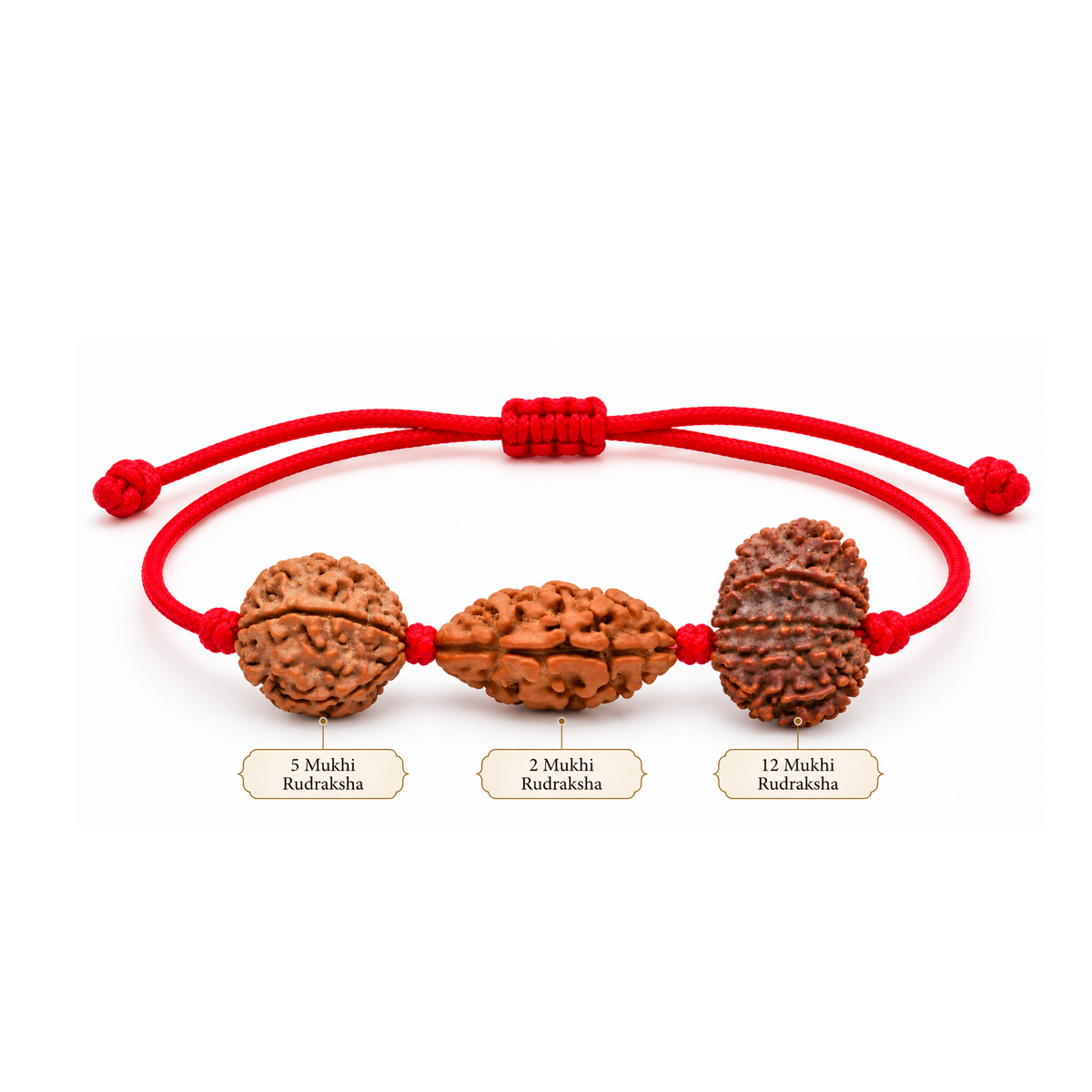 Chandra Shanti Kavach - 12, 2 & 5 Mukhi Rudraksha