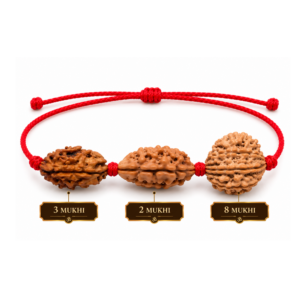 Manobal Kavach - 2, 3 & 8 Mukhi Rudraksha