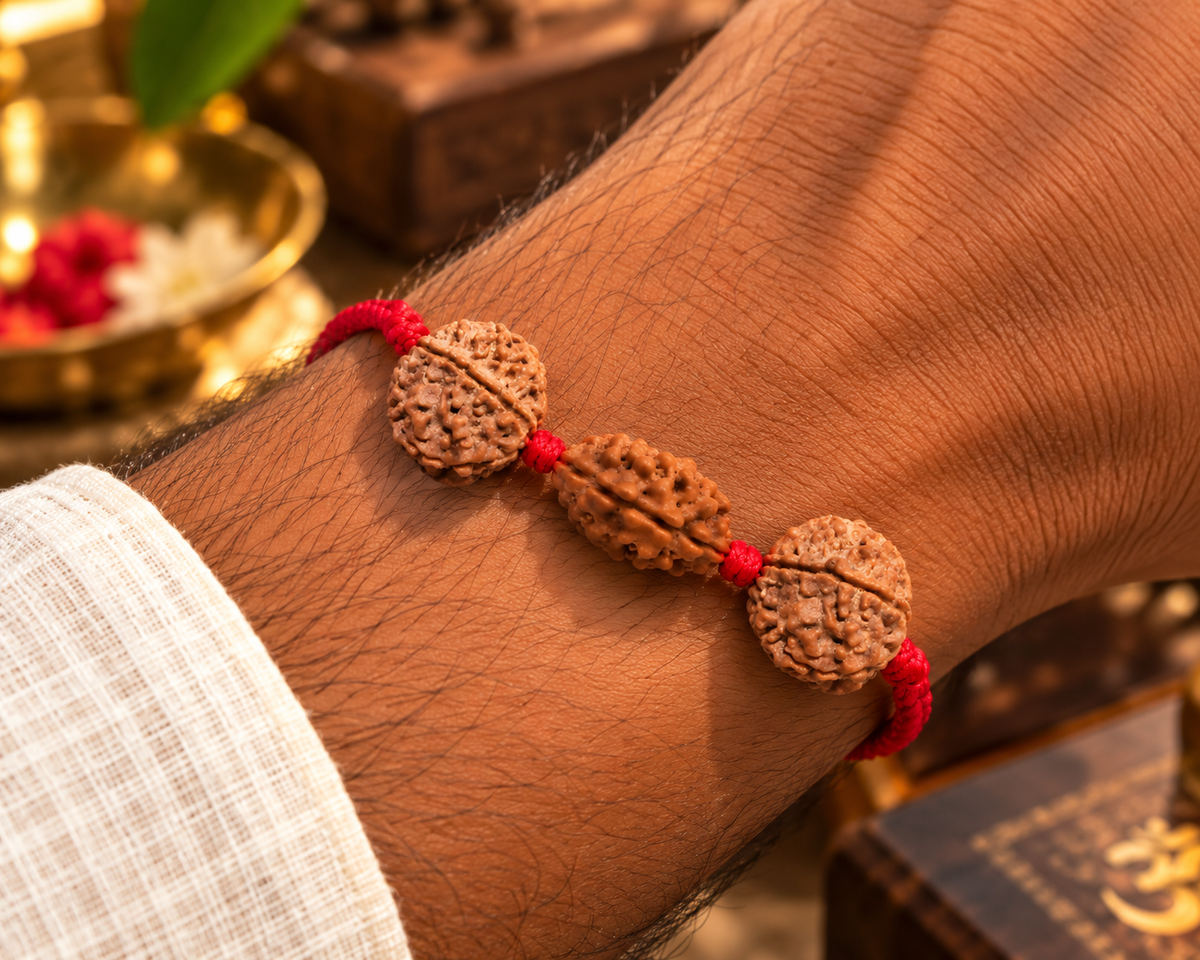 Saubhagya Kavach - 2, 5 & 6 Mukhi Rudraksha