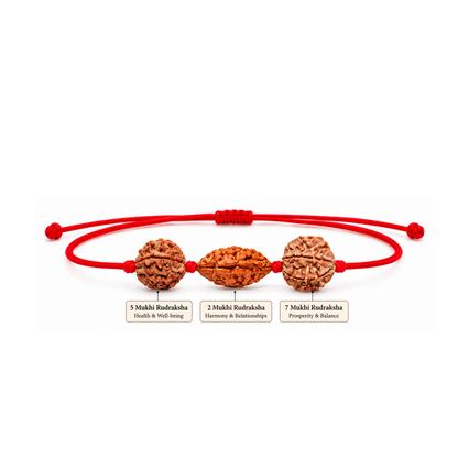 Grihastha Sukh Kavach - 2, 5 & 7 Mukhi Rudraksha
