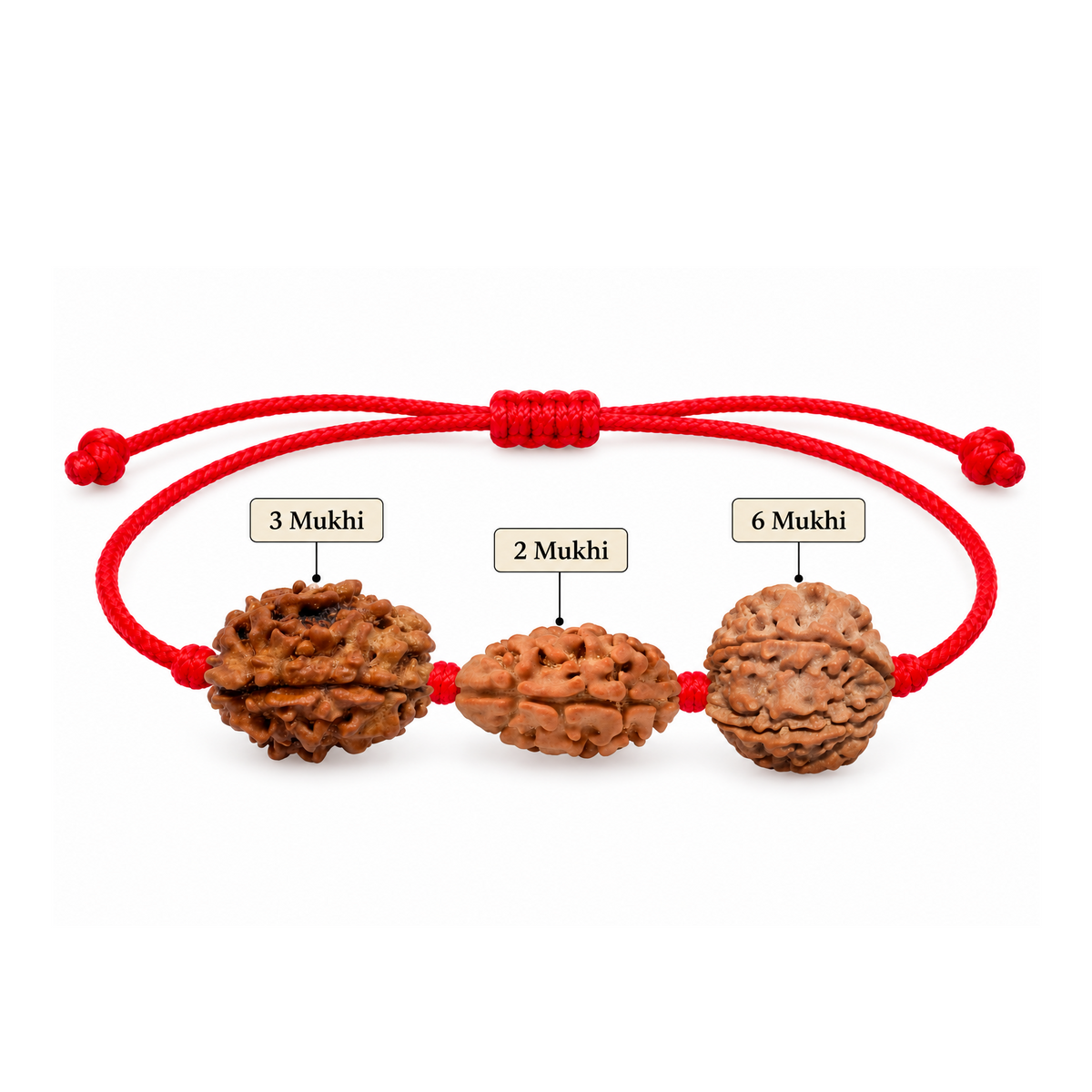 Prem Samriddhi Kavach - 2, 3 & 6 Mukhi Rudraksha