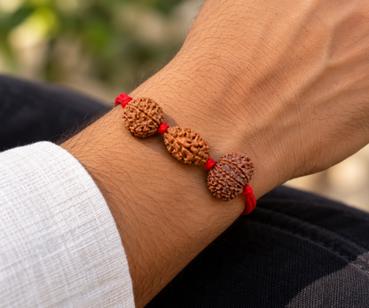 Chandra Shanti Kavach - 12, 2 & 5 Mukhi Rudraksha