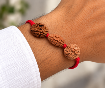 Prem Samriddhi Kavach - 2, 3 & 6 Mukhi Rudraksha