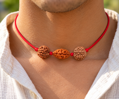 Grihastha Sukh Kavach - 2, 5 & 7 Mukhi Rudraksha