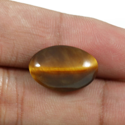 Natural Tiger Eye Gemstone Cts 11.04 Ratti 12.14