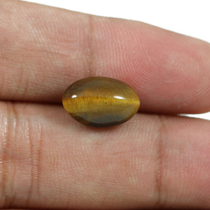 Natural Tiger Eye Gemstone Cts 5.92 Ratti 6.51