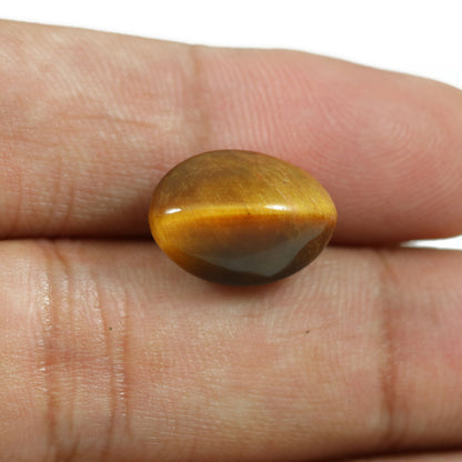 Natural Tiger Eye Gemstone Cts 9.68 Ratti 10.65