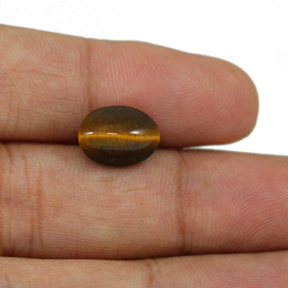 Natural Tiger Eye Gemstone Cts 6.11 Ratti 6.72