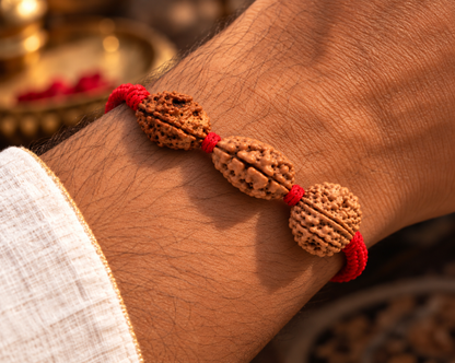 Manobal Kavach - 2, 3 & 8 Mukhi Rudraksha