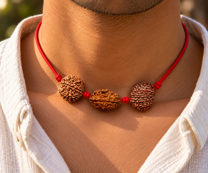 Raj Tejas Kavach - 12, 3 & 7 Mukhi Rudraksha