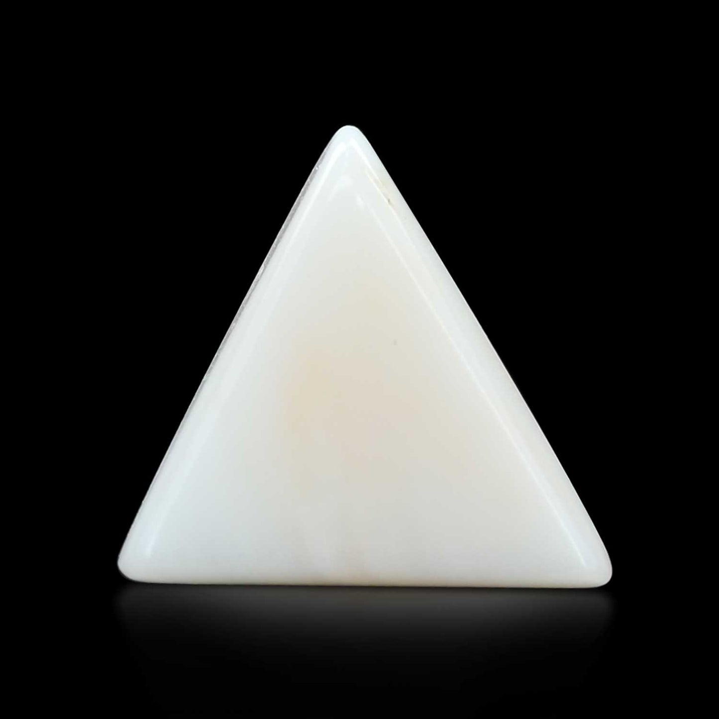 Japani White Coral 14.35 Carat