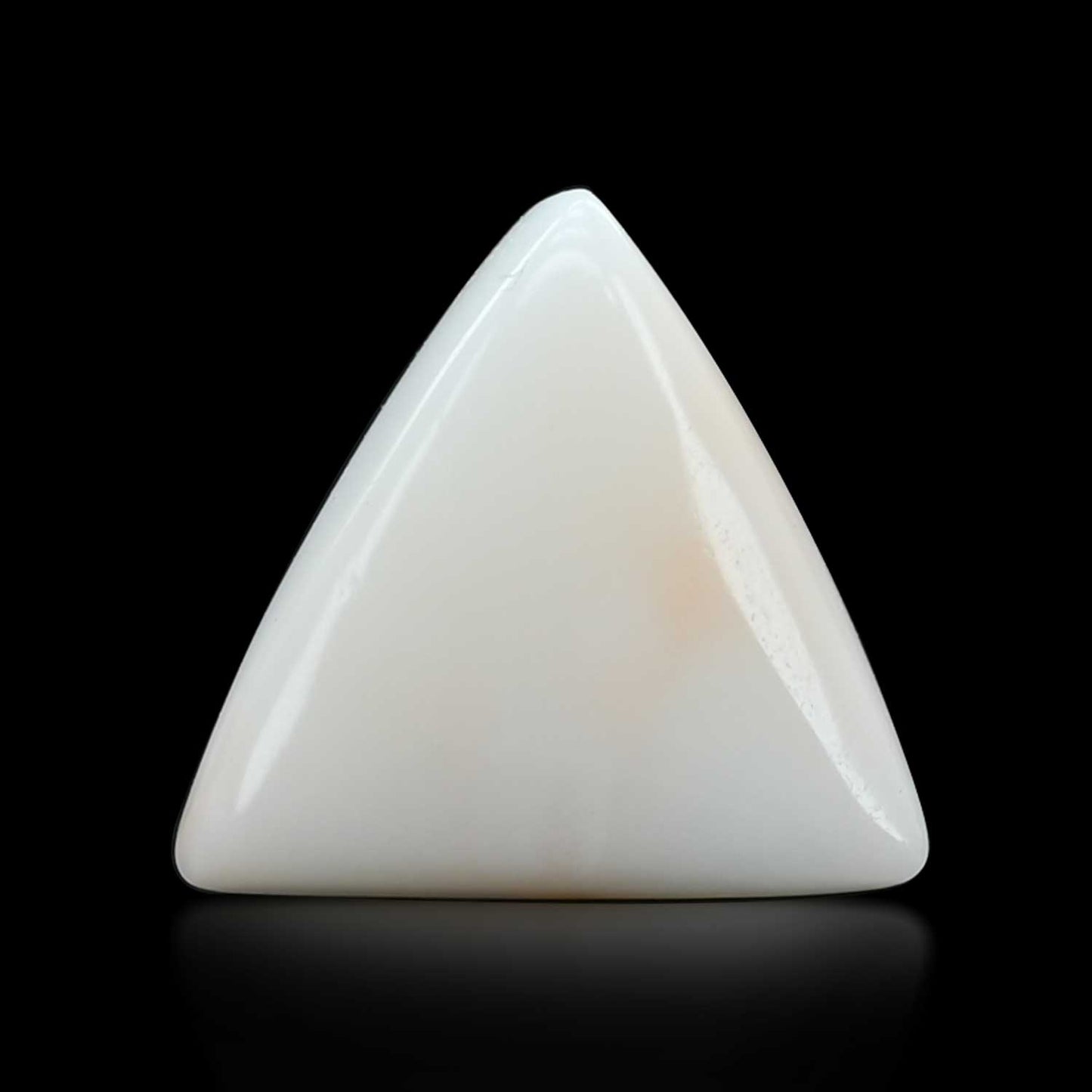 Japani White Coral 10.95 Carat