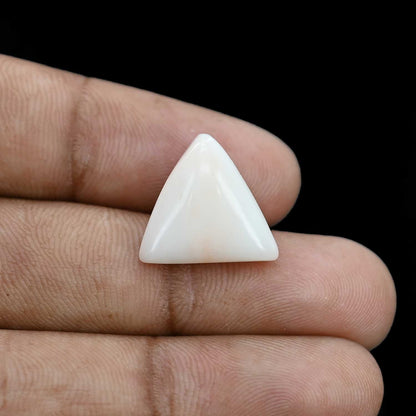 Japani White Coral 10.95 Carat